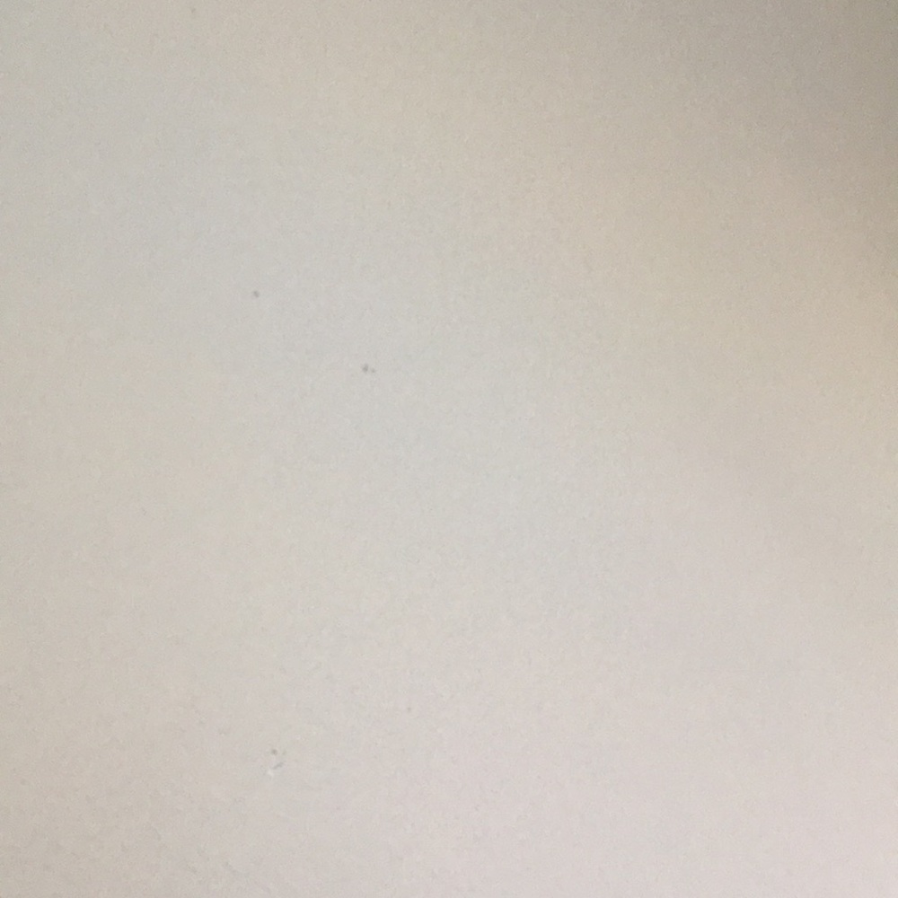 Meet your Posher, Paula